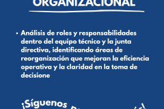 ORDENAMIENTO INTERNO Y GOBERNANZA ORGANIZACIONAL - Análisis de roles y responsabilidades dentro del equipo técnico y la junta directiva, identificando áreas de reorganización que mejoran la eficiencia operativa y la claridad en la toma de decisione